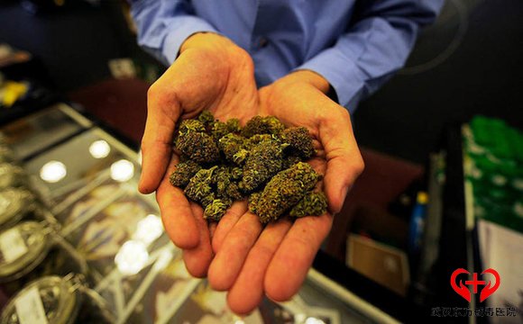 大麻的危害